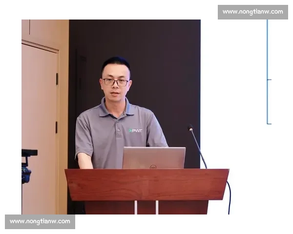 体育团队建设与长期发展策略的创新路径探索与实践