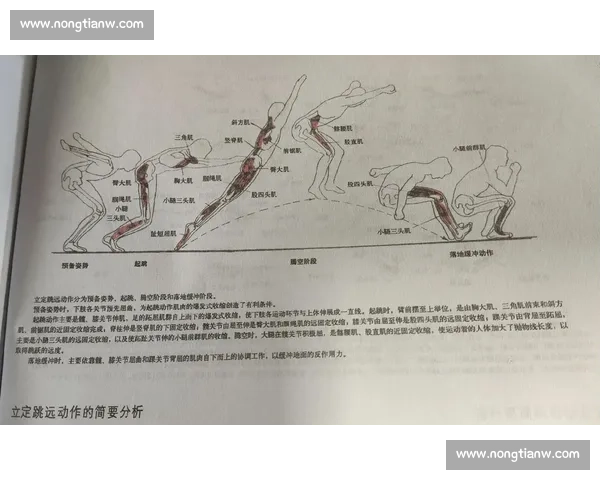 高校田径赛跳远项目精彩瞬力展示与运动员技术比拼分析 高校田径赛跳远项目精彩瞬力展示与运动员技术比拼分析