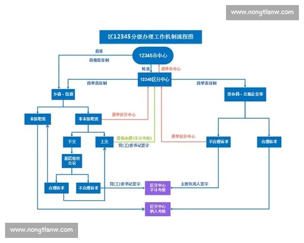 构建以规则执行为核心导向的高效治理与流程优化新体系标题 构建以规则执行为核心导向的高效治理与流程优化新体系标题