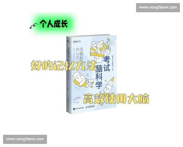 提升学习效率与实践能力的系统化训练效果优化方案